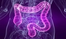 Bağırsak Mantarı Belirtileri ve Tedavisi Bağırsak Mantarı Belirtileri ve Tedavisi