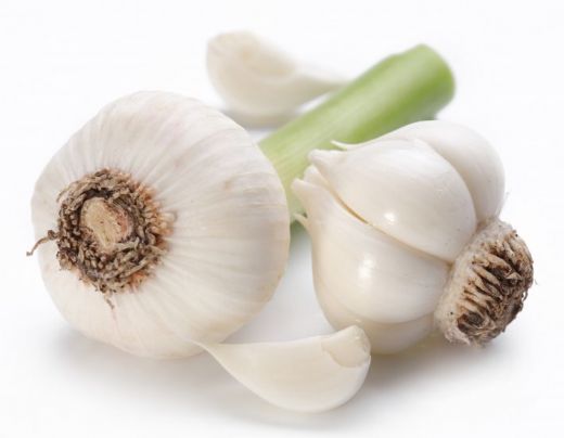 Bağırsak Mantarı Tedavisi Sarımsak Kullanımı ve Faydaları Nelerdir?